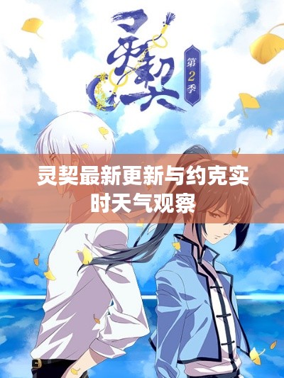 灵契最新更新与约克实时天气观察