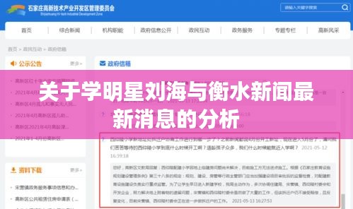 关于学明星刘海与衡水新闻最新消息的分析