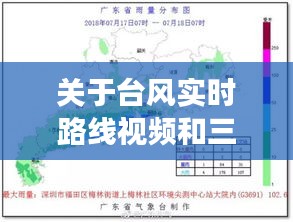 关于台风实时路线视频和三聚环保神床最新消息的全面解读与风险防范
