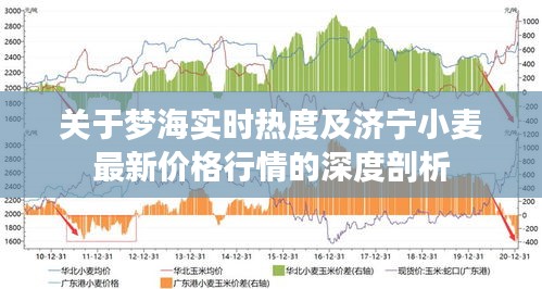 关于梦海实时热度及济宁小麦最新价格行情的深度剖析