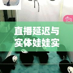 直播延迟与实体娃娃实战视频概览