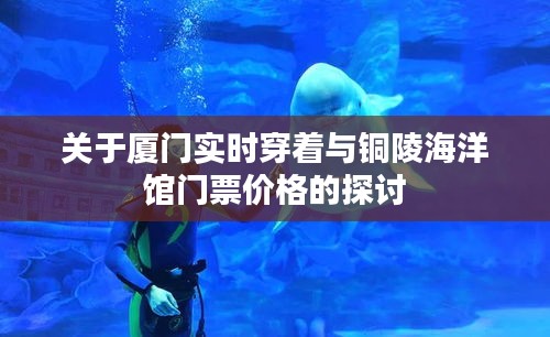 关于厦门实时穿着与铜陵海洋馆门票价格的探讨