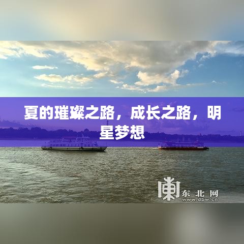 夏的璀璨之路,成长之路,明星梦想