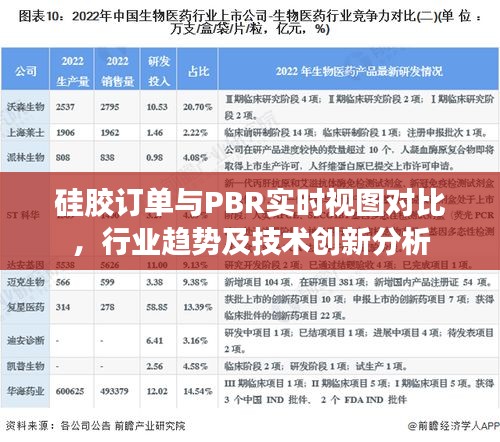 硅胶订单与PBR实时视图对比,行业趋势及技术创新分析
