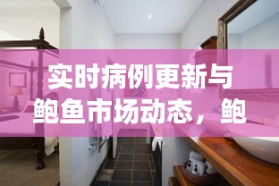 实时病例更新与鲍鱼市场动态,鲍鱼市场最新行情分析(2017年)