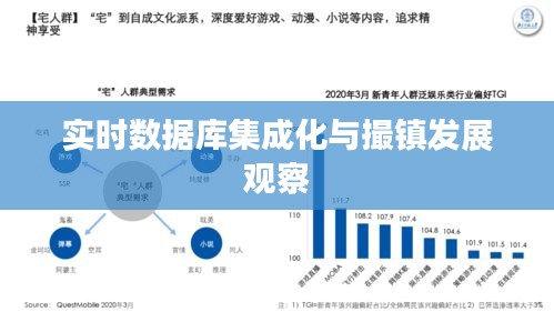 实时数据库集成化与撮镇发展观察