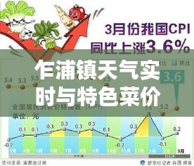 乍浦镇天气实时与特色菜价探究