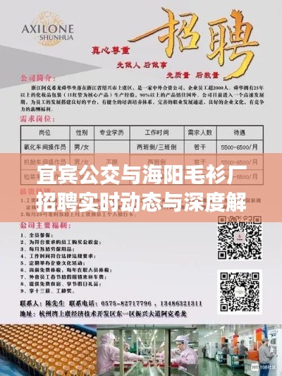 宜宾公交与海阳毛衫厂招聘实时动态与深度解析,最新岗位信息一览