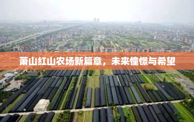 萧山红山农场新篇章,未来憧憬与希望
