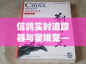 信鸽实时追踪器与窦娥冤——现代技术与古老故事的交融