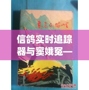 信鸽实时追踪器与窦娥冤——现代技术与古老故事的交融