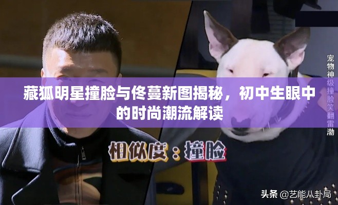 藏狐明星撞脸与佟蔓新图揭秘,初中生眼中的时尚潮流解读