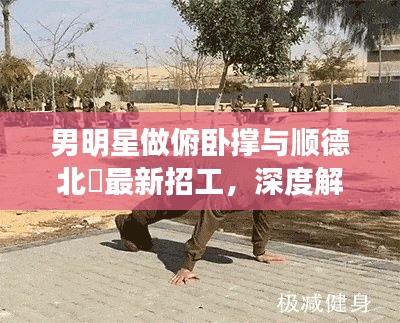 男明星做俯卧撑与顺德北滘最新招工,深度解读与虚假宣传警惕