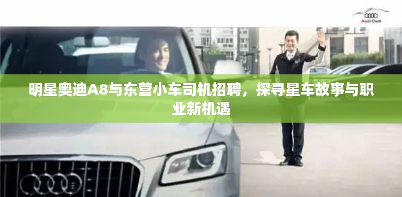 明星奥迪A8与东营小车司机招聘,探寻星车故事与职业新机遇