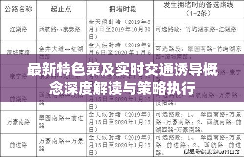 最新特色菜及实时交通诱导概念深度解读与策略执行