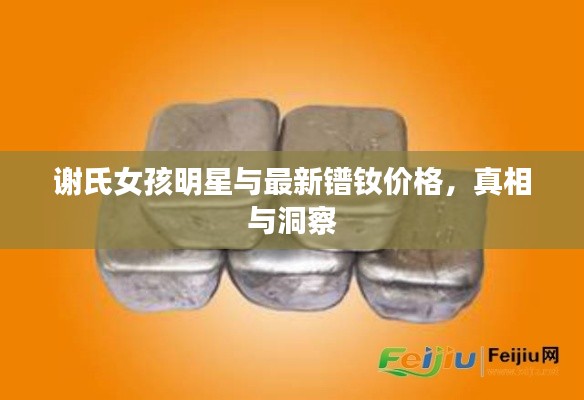 谢氏女孩明星与最新镨钕价格,真相与洞察