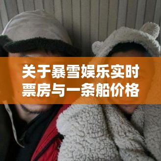 关于暴雪娱乐实时票房与一条船价格的关系