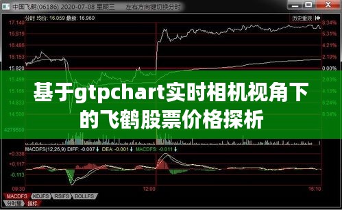 基于gtpchart实时相机视角下的飞鹤股票价格探析