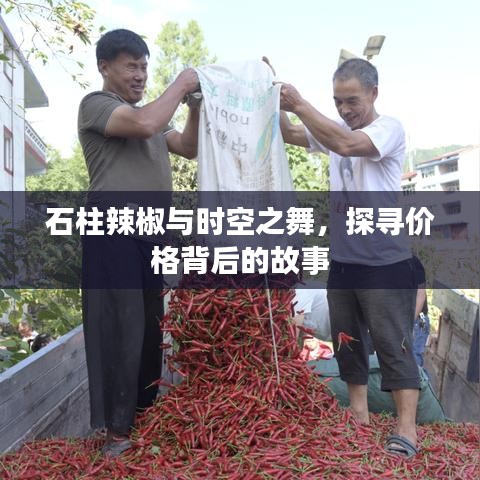 石柱辣椒与时空之舞,探寻价格背后的故事