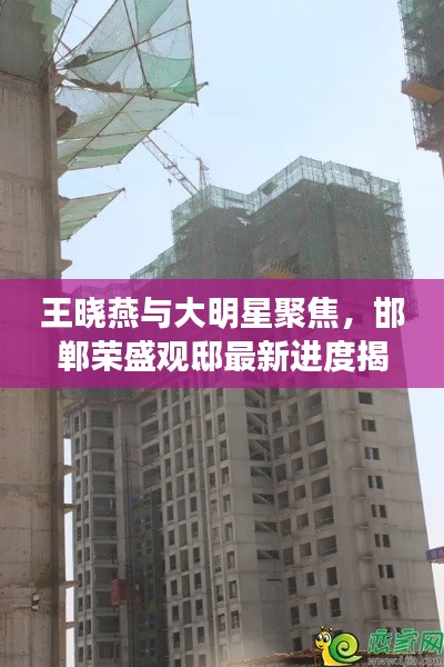 王晓燕与大明星聚焦,邯郸荣盛观邸最新进度揭秘