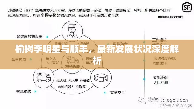 榆树李明星与顺丰,最新发展状况深度解析