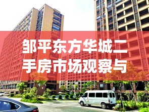 邹平东方华城二手房市场观察与光毛实时控评分析
