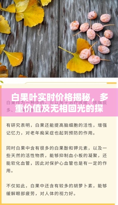 白果叶实时价格揭秘,多重价值及无相回光的探讨