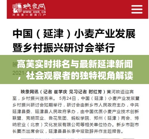 高芙实时排名与最新延津新闻,社会观察者的独特视角解读