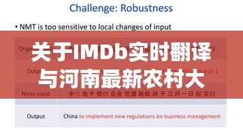 关于IMDb实时翻译与河南最新农村大门概念的深度解读及策略建议