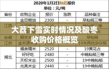 大荔下雪实时情况及酸枣收购价格概览