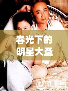 春光下的明星大圣传奇之旅