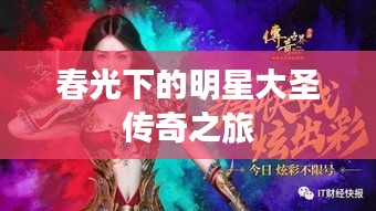 春光下的明星大圣传奇之旅