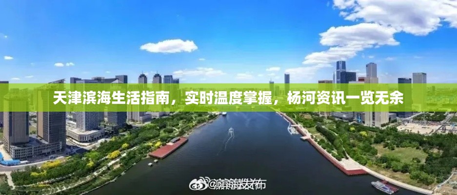 天津滨海生活指南,实时温度掌握,杨河资讯一览无余