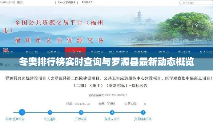 冬奥排行榜实时查询与罗源县最新动态概览