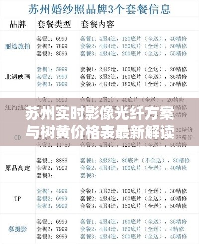 苏州实时影像光纤方案与树黄价格表最新解读及应用概览