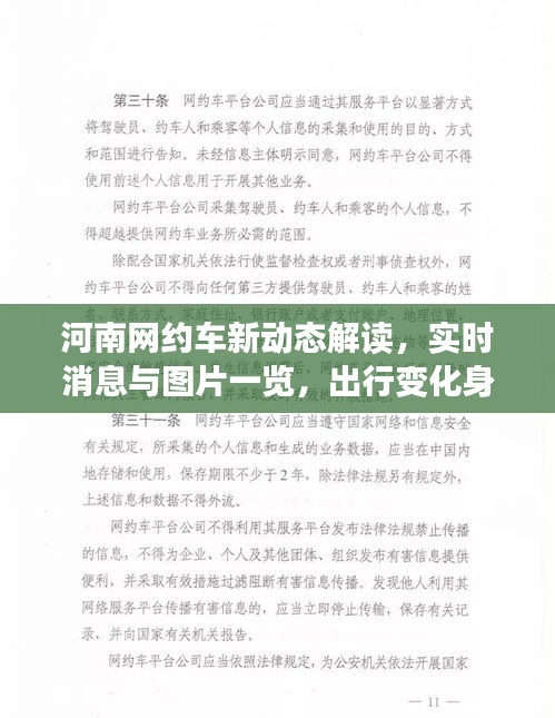 河南网约车新动态解读，实时消息与图片一览，出行变化身边知
