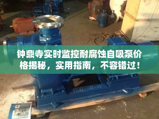 钟鼎寺实时监控耐腐蚀自吸泵价格揭秘,实用指南,不容错过!