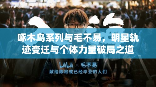 啄木鸟系列与毛不易，明星轨迹变迁与个体力量破局之道