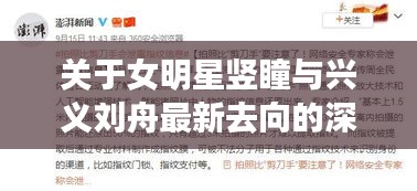 关于女明星竖瞳与兴义刘舟最新去向的深度剖析