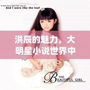 洪辰的魅力，大明星小说世界中的最新风采