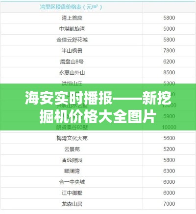 海安实时播报——新挖掘机价格大全图片