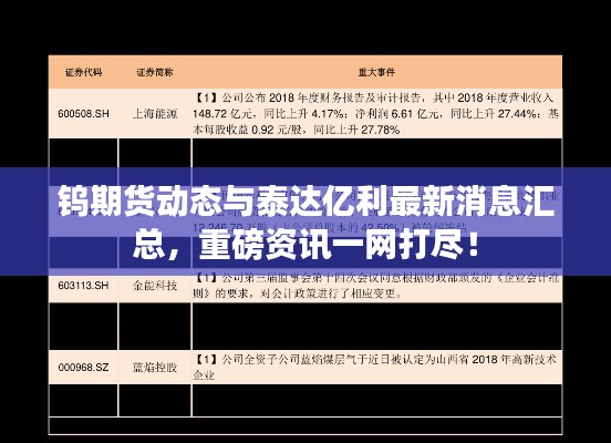 钨期货动态与泰达亿利最新消息汇总，重磅资讯一网打尽！