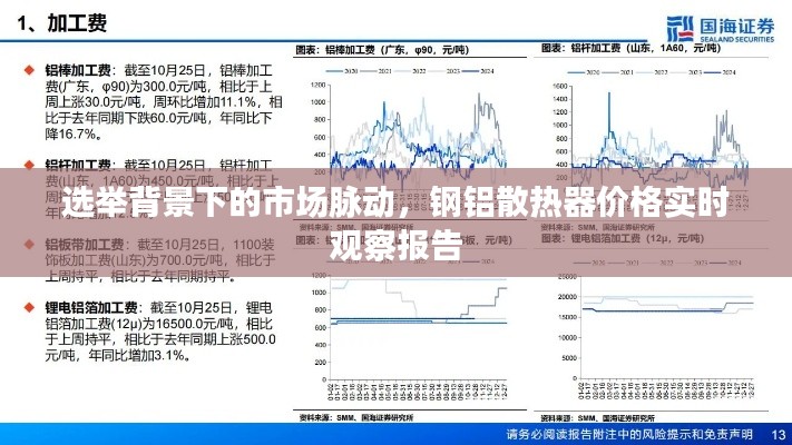 选举背景下的市场脉动，钢铝散热器价格实时观察报告