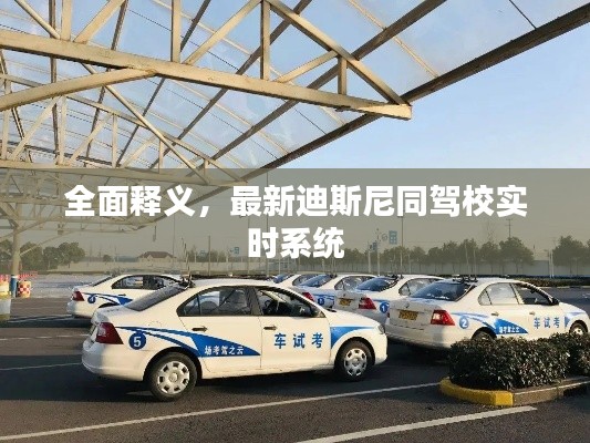 全面释义，最新迪斯尼同驾校实时系统