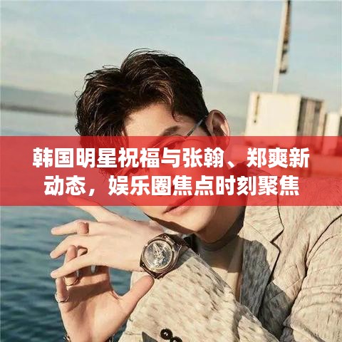 韩国明星祝福与张翰、郑爽新动态，娱乐圈焦点时刻聚焦
