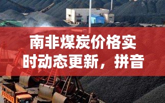 南非煤炭价格实时动态更新，拼音下的最新报价