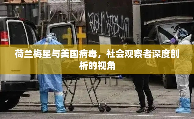 荷兰梅星与美国病毒，社会观察者深度剖析的视角