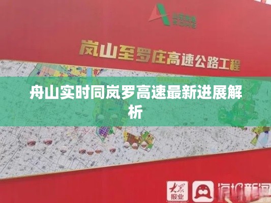 舟山实时同岚罗高速最新进展解析