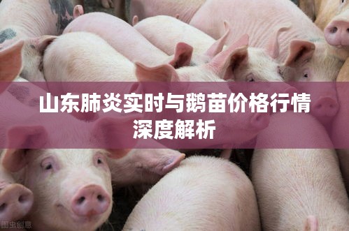 2026年2月1日 第5页