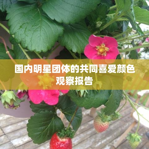 国内明星团体的共同喜爱颜色观察报告